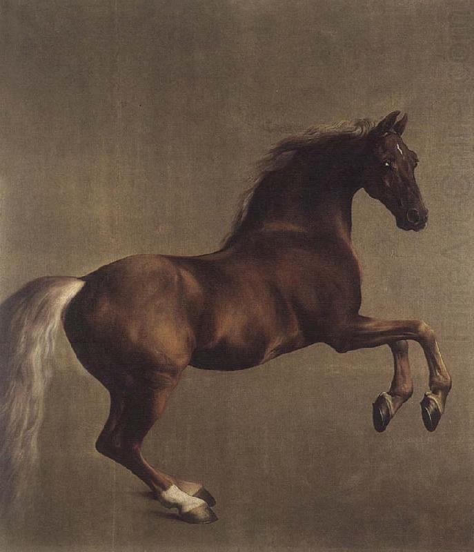 Whistlejacket, George Stubbs